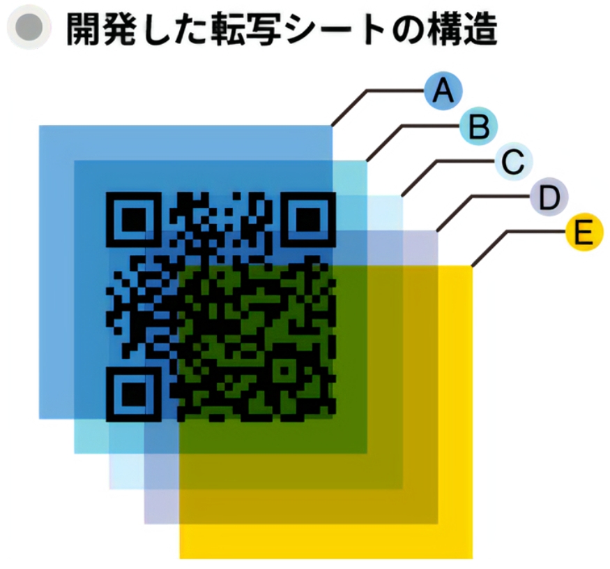 開発した転写シートの構造